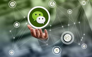 面条营销顾问 运用互联网技术，四种打通渠道的策略详解